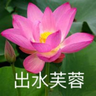 双龙速跑活力无限道具版下载